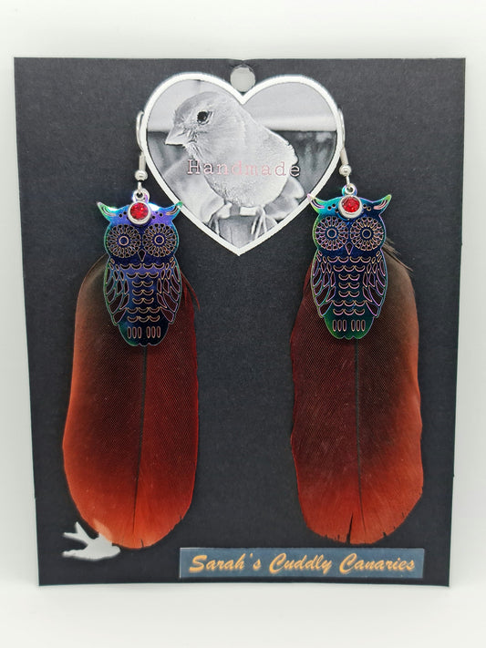 Zelda Eclectus Feather Earrings