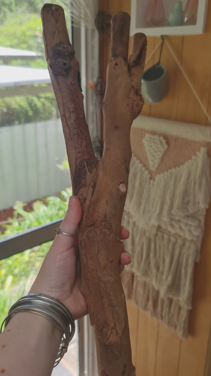 Spotted Gum Fork 45cm x 2/2.5/3cm Bolt On Perch