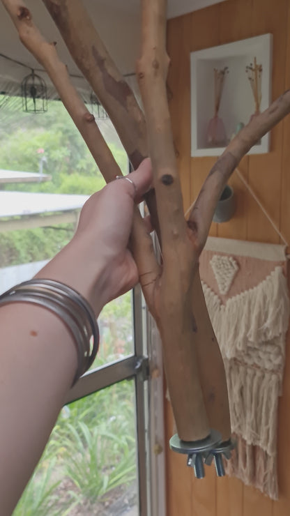 Spotted Gum Fork & Single Perch 45cm x 2/2.5/3cm Bolt On Perches