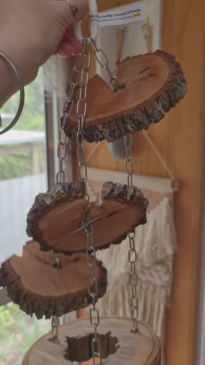 Spotted Gum Ring Casuarina Platform Swing