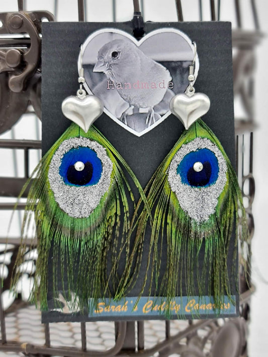 Mr Bentley & Son Silver Glitter Eye Feather Earrings