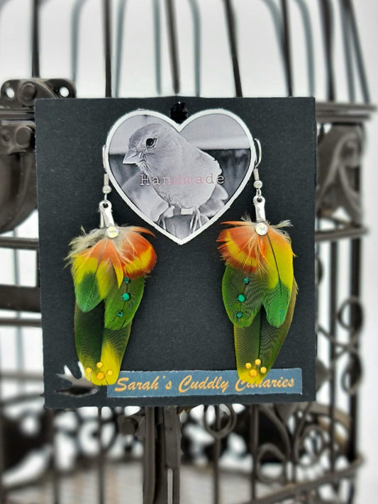 Marley & Lego Rainbow Lorikeet Feather Earrings