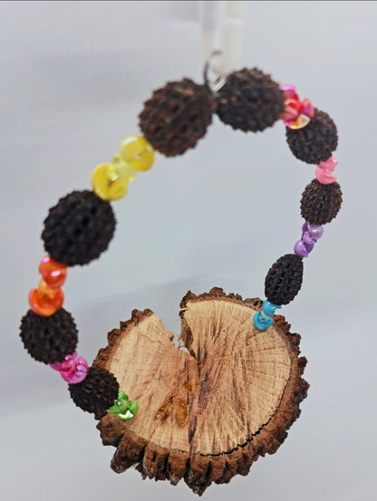 Casuarina Acrylic Platform Swing