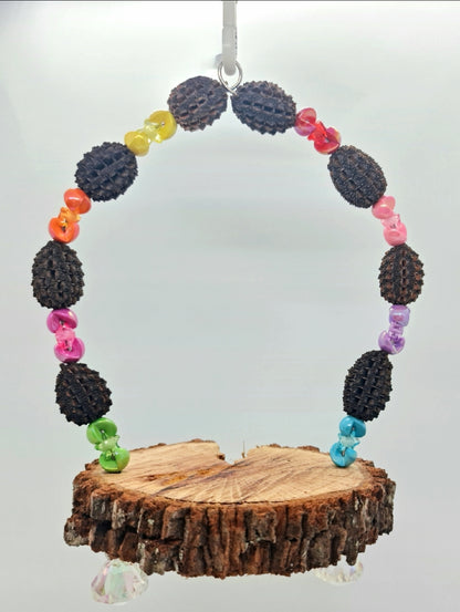 Casuarina Acrylic Platform Swing