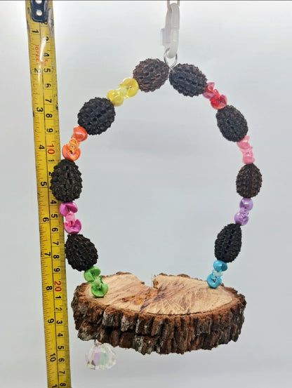 Casuarina Acrylic Platform Swing