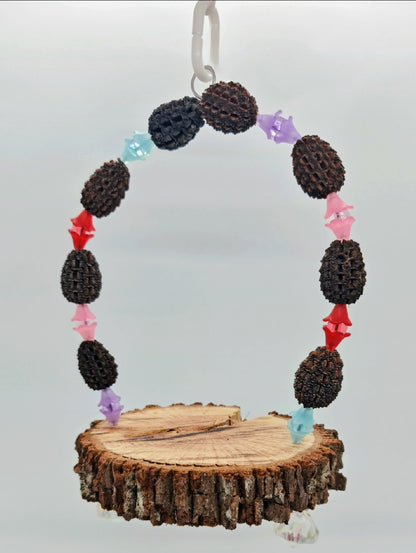 Casuarina Acrylic Platform Swing