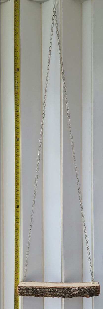 Large Chain Casuarina Chicken Swing