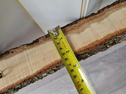 Large Green Rope Casuarina Chicken Swing