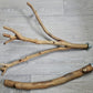 Spotted Gum Fork & Single Perch 45cm x 2/2.5/3cm Bolt On Perches