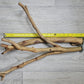 Spotted Gum Fork & Single Perch 45cm x 2/2.5/3cm Bolt On Perches