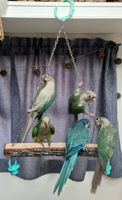 The 'Friendship' Swing