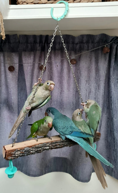 The 'Friendship' Swing