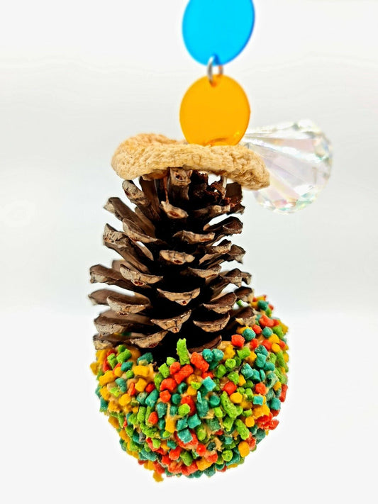 Rainbow π Cone Treat